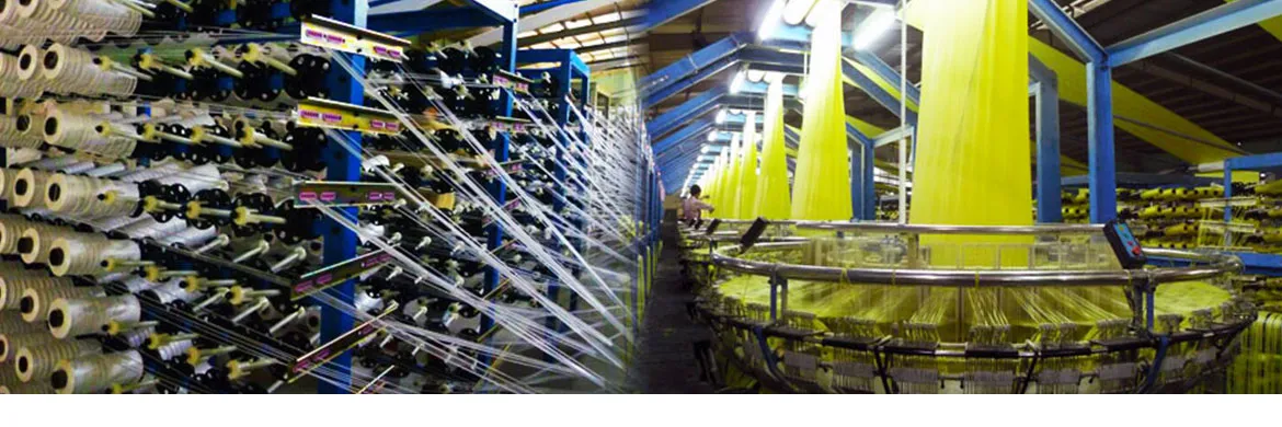 Business Dynamics polypropylene weaving plant