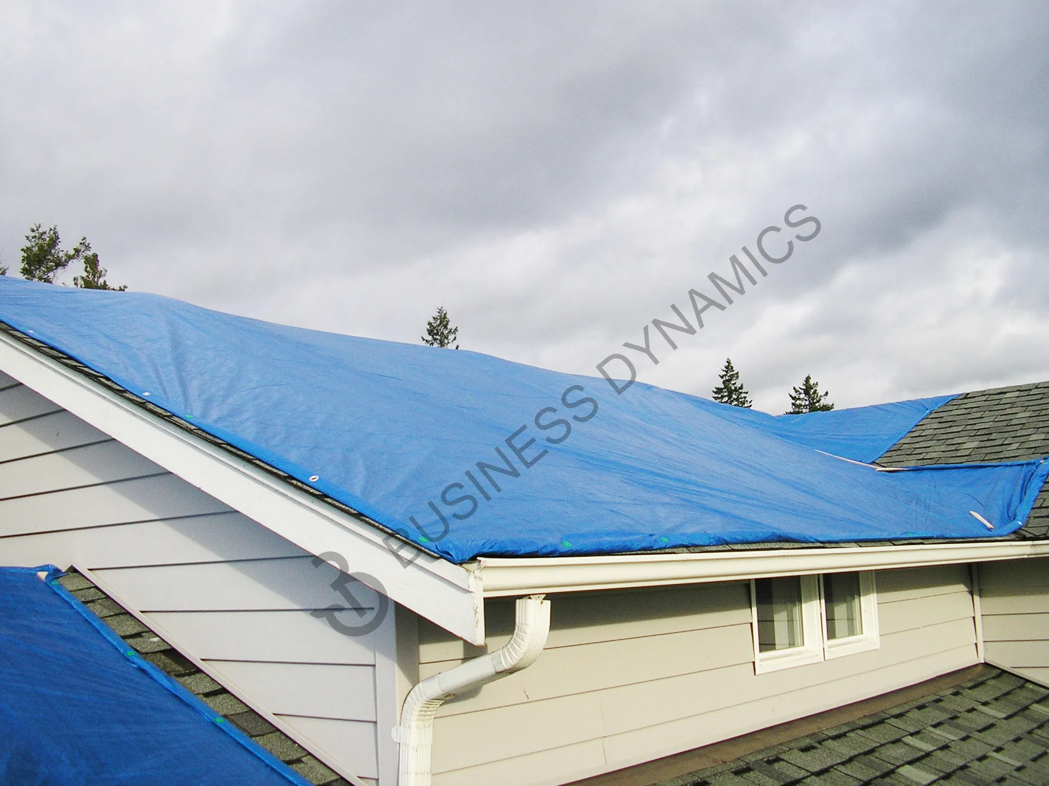 Tarpaulin